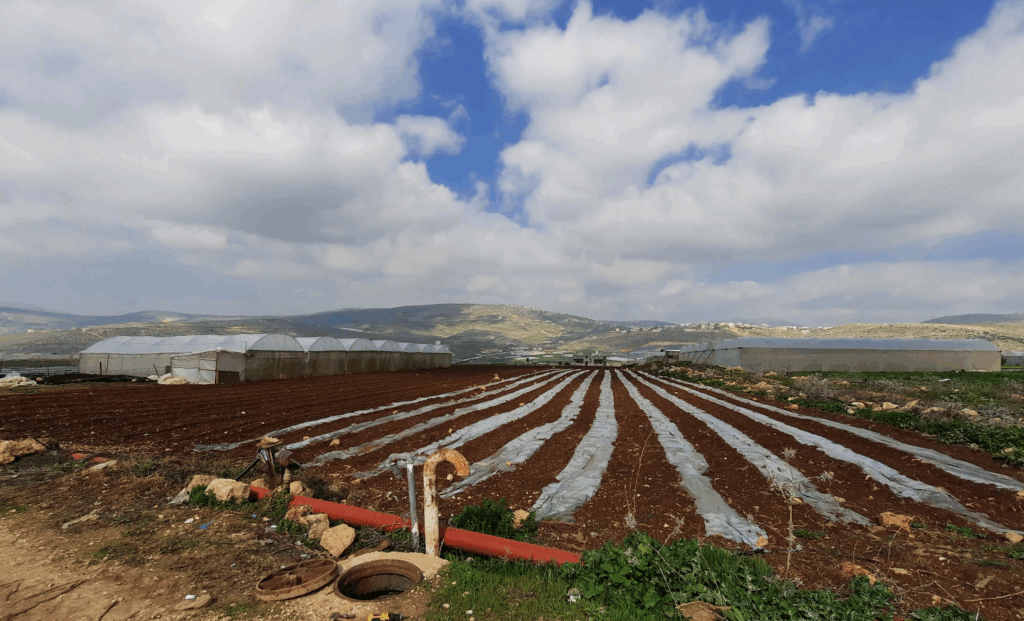 Flowless leverages real-time IoT and automated analytics to cut non-revenue water