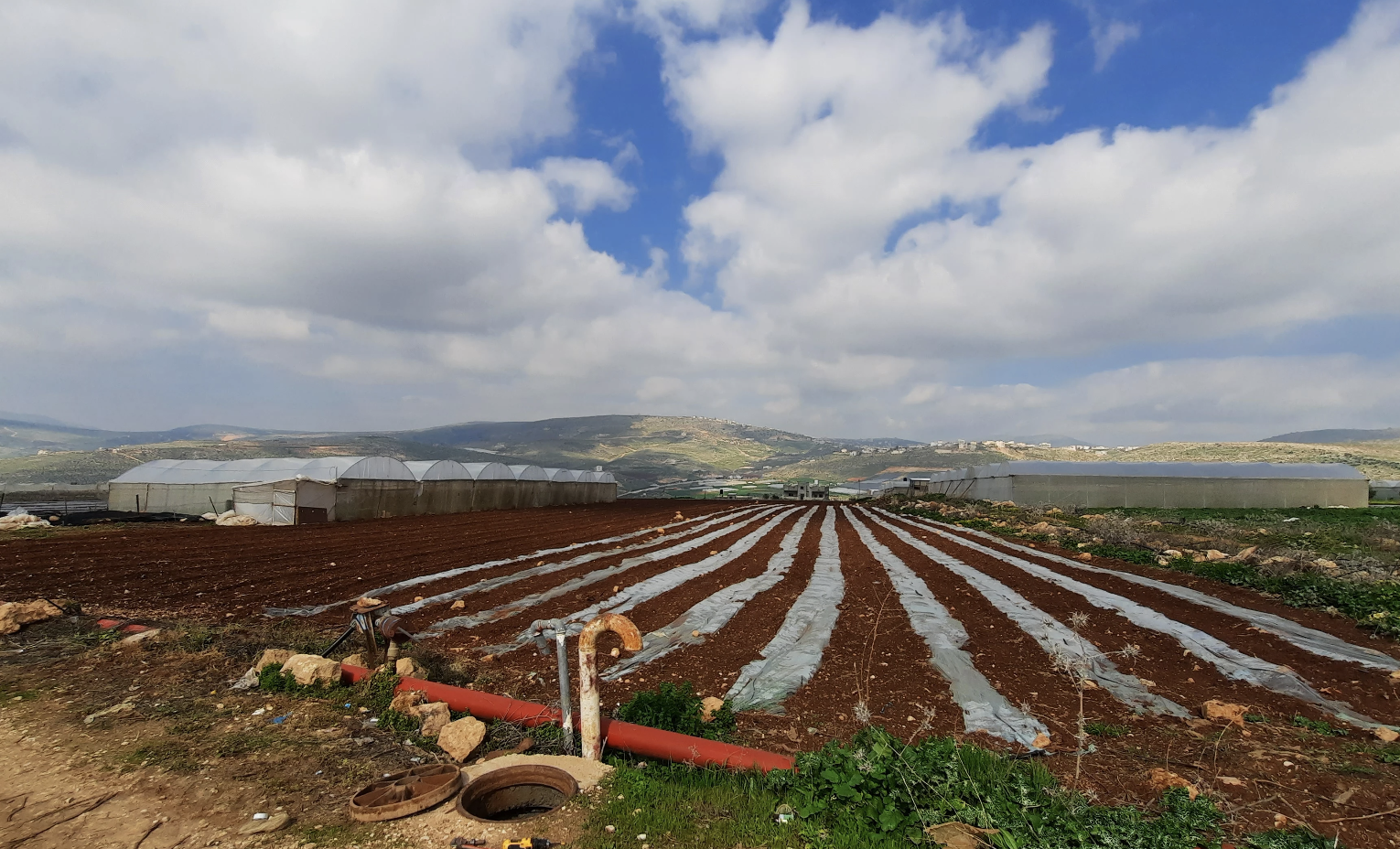 Flowless leverages real-time IoT and automated analytics to cut non-revenue water