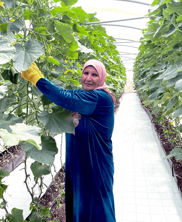 placeholder-farmers-bg-01