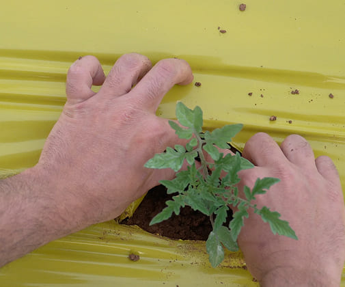 farming in jordan